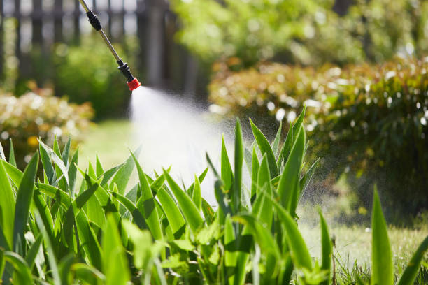 24/7 Emergency Mosquito Control experts in Newark, OH