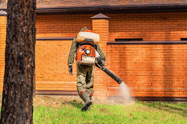 Top rated local Mosquito Control specialists in Newark, OH